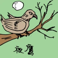 Nighthawk (0614) illustration