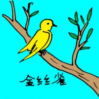 金丝雀 (0616) illustration