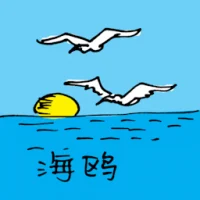 Sea Gull (0620) illustration