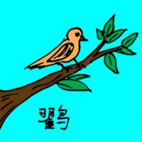 鹧 (0624) illustration