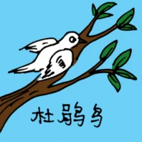 Cuckoo (0629) illustration