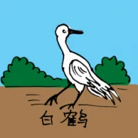White Crane (0632) illustration