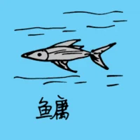 Bighead Carp (0651) illustration