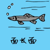 Long Grey Fish (0656) illustration