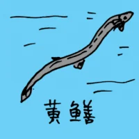 Yellow Eel (0658) illustration