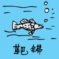 White Herring (0659) illustration