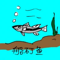 Northern Whiting Fish (0662) illustration
