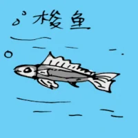 金凤鱼 (0666) illustration
