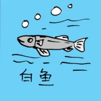 白鱼 (0670) illustration