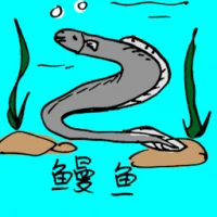 Giant Eel (0677) illustration
