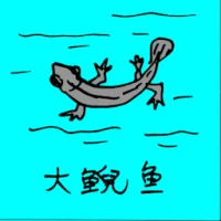 Stream Salamander (0682) illustration