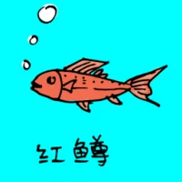 Red Snapper (0683) illustration