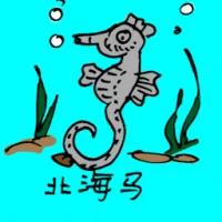 北海马 (0685) illustration