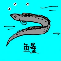 Fresh Water Eel (0686) illustration