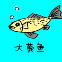 Big Yellow Croaker (0687) illustration