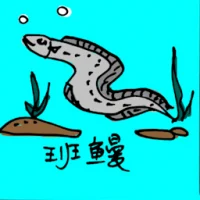 Moray Eel (0688) illustration