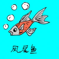 Phoenix Tail Fish (0691) illustration