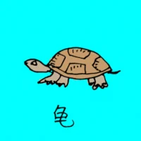 Small Turtle (0694) illustration