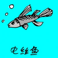 Tiny Thin Fish (0695) illustration