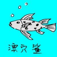 滨穴鲨 (0699) illustration