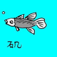 Little Fish (0704) illustration