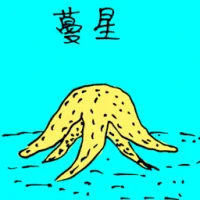 Starfish (0713) illustration