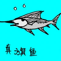 Sail Fish (0716) illustration