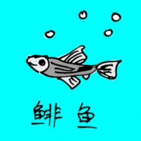 Herring (0717) illustration