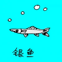 Silver Fish (0724) illustration