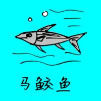 Spanish Mackerel (0728) illustration