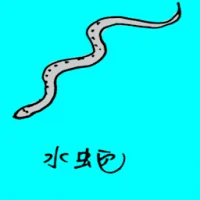 Water Snake (0730) illustration