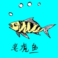Tiger Fish (0736) illustration