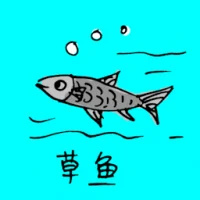 Grass Carp (0741) illustration