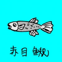 赤目鱼规 (0743) illustration