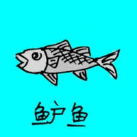 Sea Bass (0744) illustration