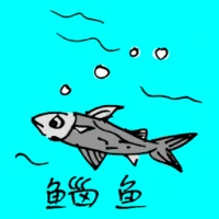 Flathead Mullet (0752) illustration