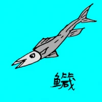 Dussumier's Halfbeak (0753) illustration