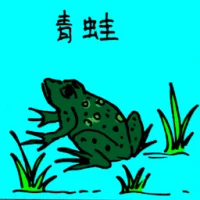 Green Frog (0765) illustration