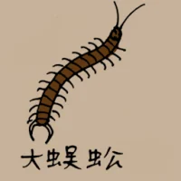 Big Centipede (0768) illustration