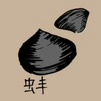Hard Clam (0769) illustration