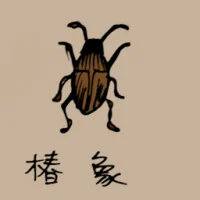 Stink Bugs (0770) illustration
