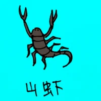 Anaspidacea Shrimp (0773) illustration