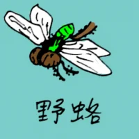 Wild Flies (0785) illustration