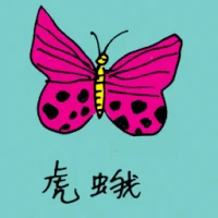 Tiger Moth (0787) illustration