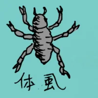 Head Louse (0791) illustration