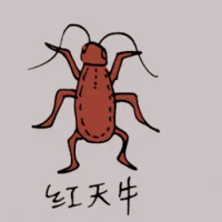 Red Milkweed Beetle (0796) illustration