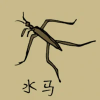 Water Beetle (0797) illustration
