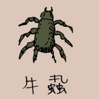 Cow Flea (0798) illustration