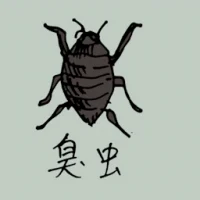 Bedbug (0806) illustration