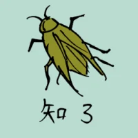 Common Cicada (0808) illustration